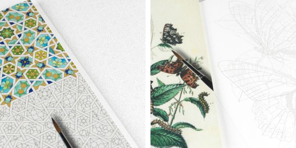 Artists' Deluxe Coloring Books Artists' Deluxe Coloring Books