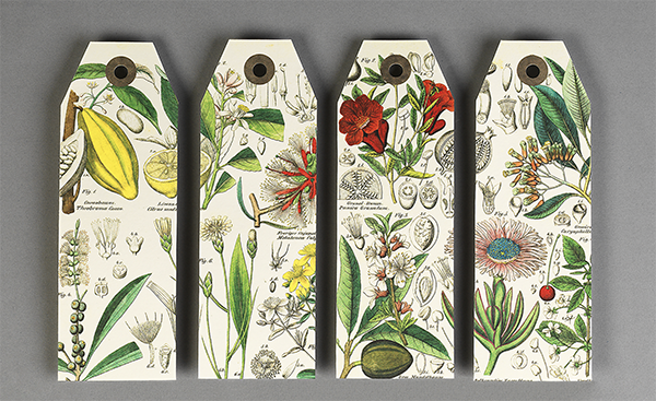 Artists' Papercraft Book, Natural History Artists' Papercraft Book, Natural History