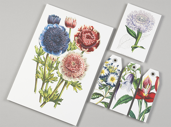 Artists' Papercraft Book, Flowers Artists' Papercraft Book, Flowers