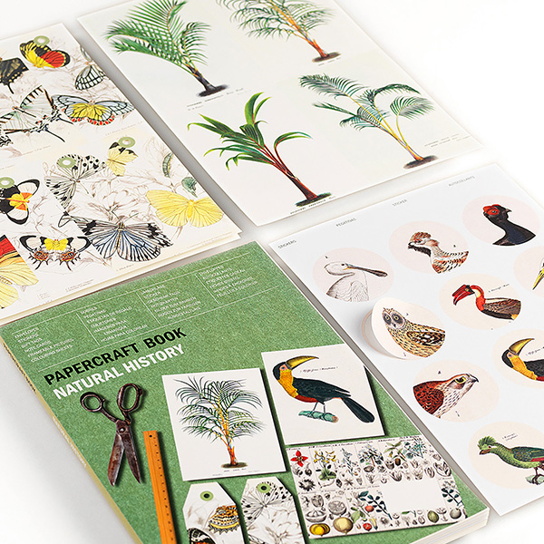Artists' Papercraft Book, Natural History Artists' Papercraft Book, Natural History