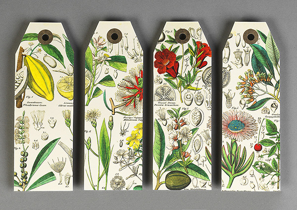 Artists' Papercraft Book, Natural History Artists' Papercraft Book, Natural History