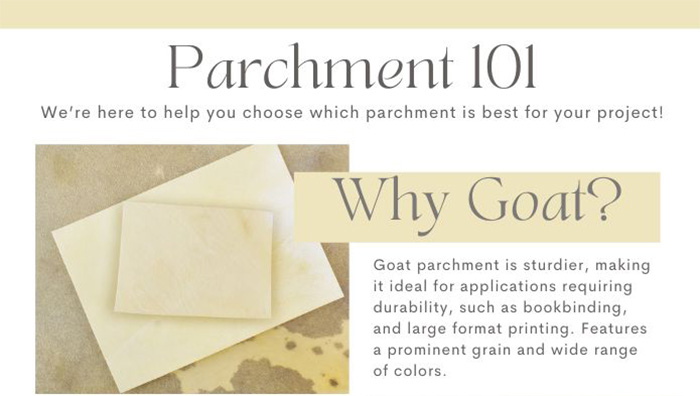 Pergamena Parchment Goatskin, Character Prepared Pergamena Parchment Goatskin, Character Prepared