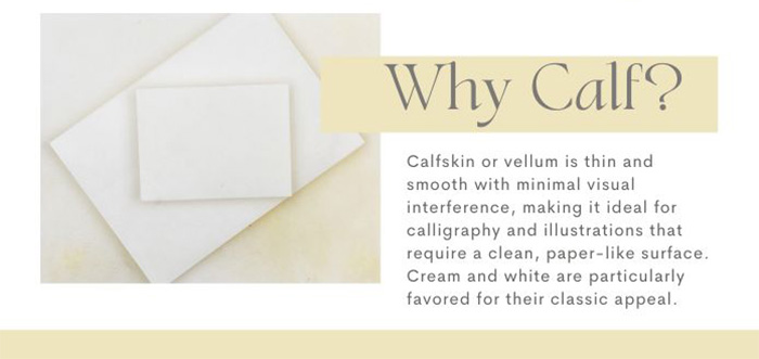 Pergamena Parchment Vellum Calfskin, Classic Cream, Calligraphy Prepared Pergamena Parchment Vellum Calfskin, Classic Cream, Calligraphy Prepared