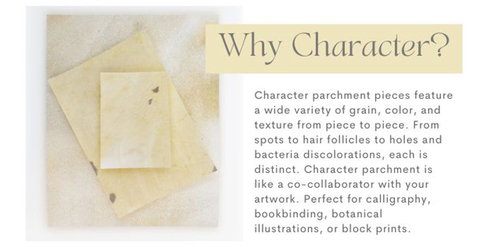 Pergamena Parchment Vellum Calfskin, Character Cream, Calligraphy Prepared Pergamena Parchment Vellum Calfskin, Character Cream, Calligraphy Prepared